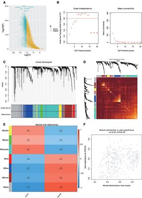 Pyroptosis-related gene-based prognostic signature for predicting the overall survival of oral squamous cell carcinoma patients